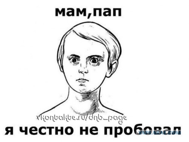 От жирдяя до пляжника за 10 недель