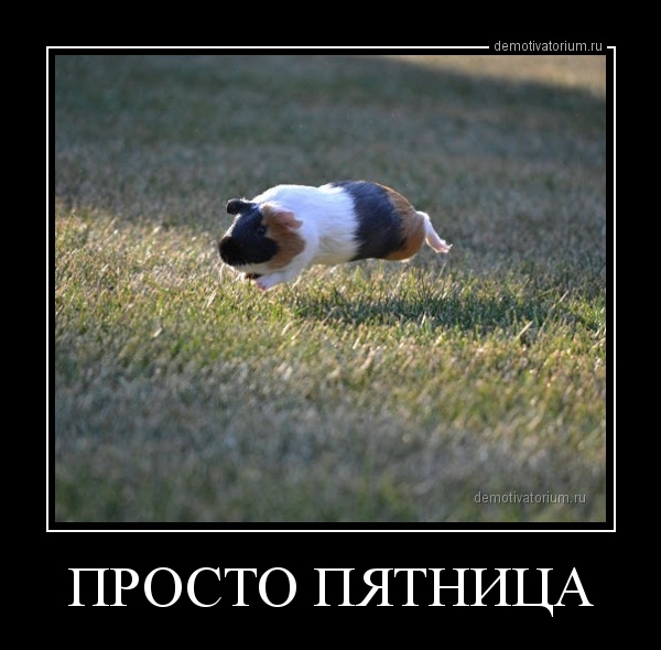 Демотиваторов пост