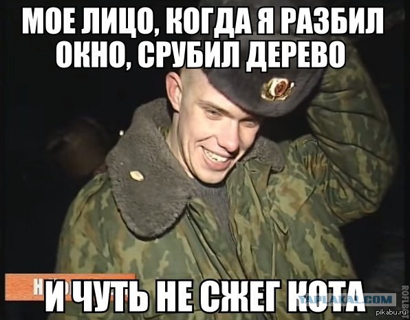 Фотожабы про спасение Барсика
