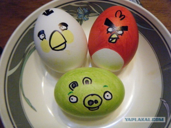 Angry Birds в реальной жизни