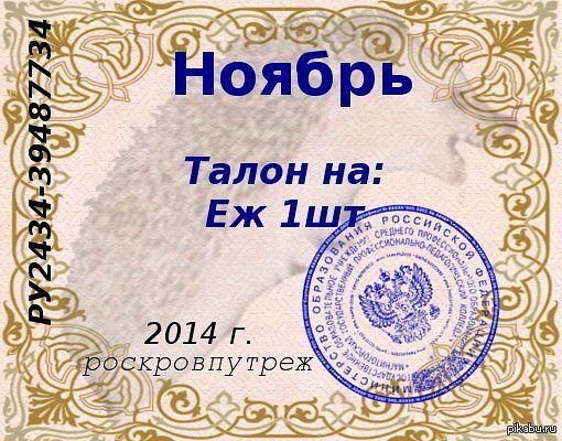 Мизулина назвала интернет помехой