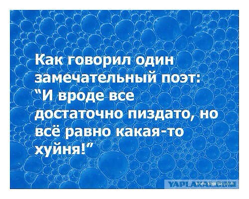 Весёлое из сети