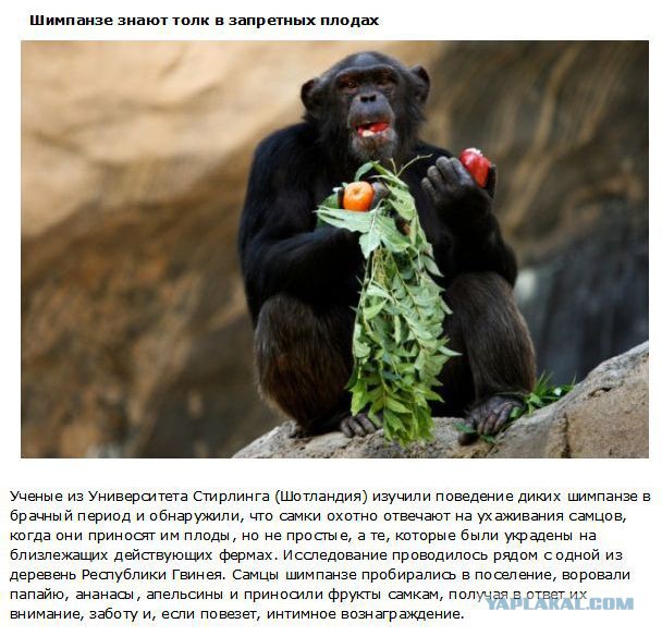 20 фактов обо всем