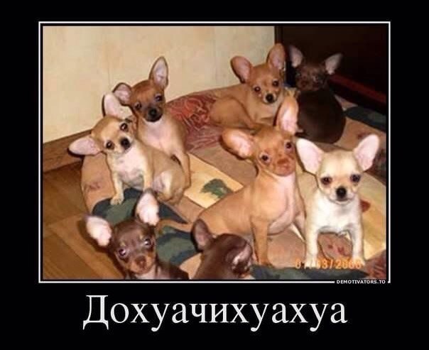 Улыбнемся в понедельник!