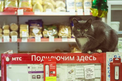 Путешествие на поезде по крайнему северу России