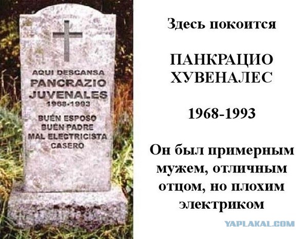 Забавные картинки из сети