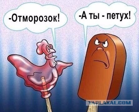 Прикольные картинки из сети