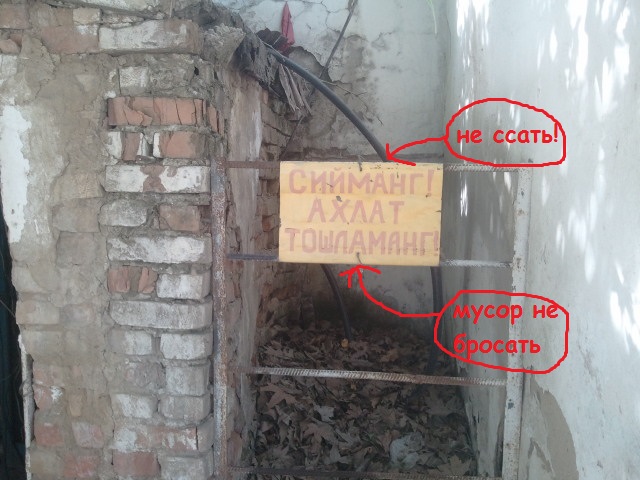 Надписи, таблички, маразмы