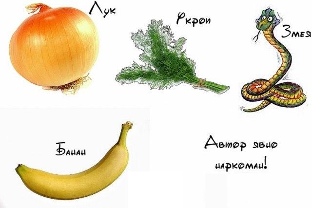 Карты,зебра,лесопарк...