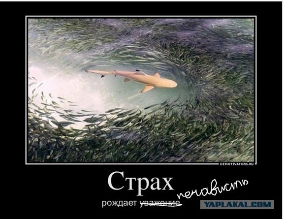 Вы хотите "демов"?