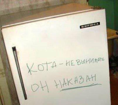 Прикольные объявления и надписи