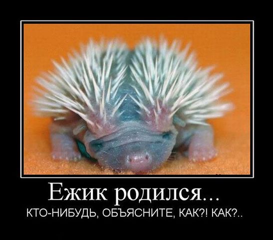 Сборник "баянов" со всего Интернета - 2