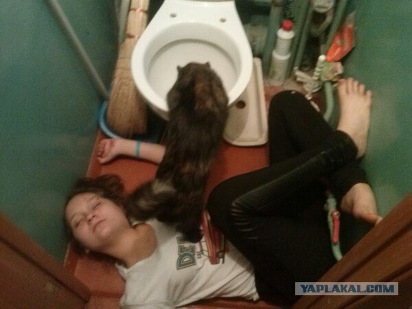 Ужасы и приколы из соцсетей 18+