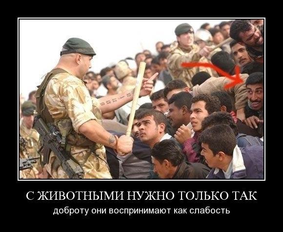 Еврогуманисты запретили женщине жаловаться