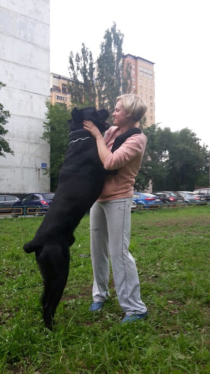 Четверг? тогда собакены