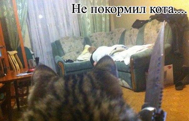 Очередные картинки на субботу