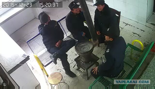 За что я люблю китайцев