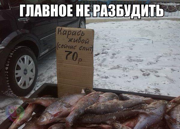 Подборка прикольных картинок