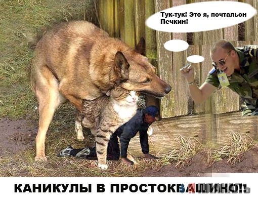 Фотожаба: ползун