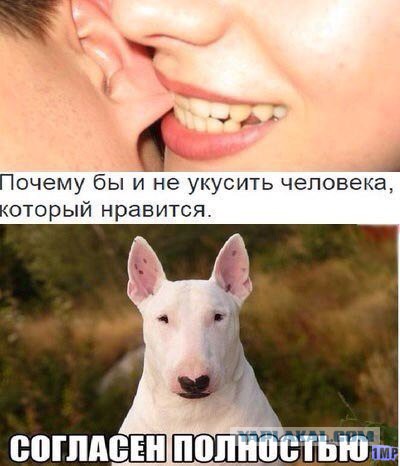 Очередная подборка картинок из сети