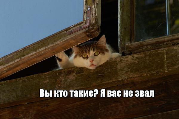 Картинки с надписями