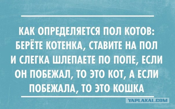 Интеллектуальные открытки