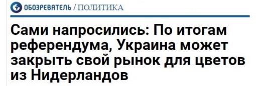 СМИ: 64% голландцев высказались против ассоциации Украины с ЕС