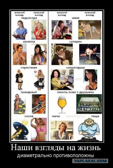 Интересные и веселые картинки