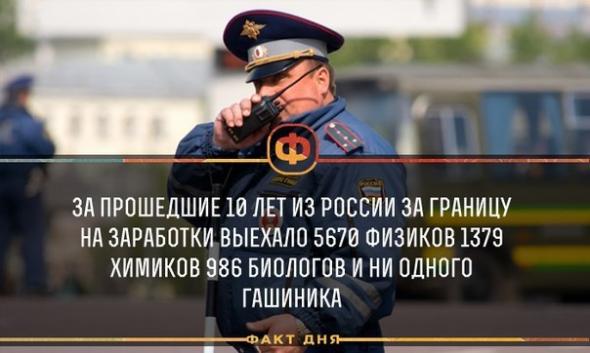 Подборка интересных и смешных картинок