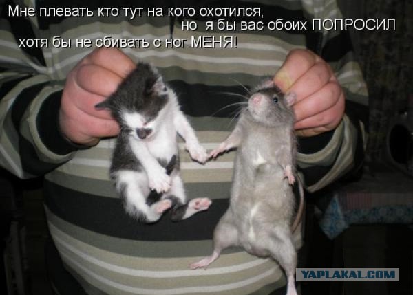 Ты кушай,кушай, мы подождем...