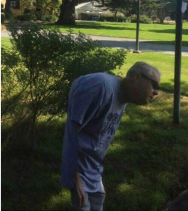 Мастера панорамного фото