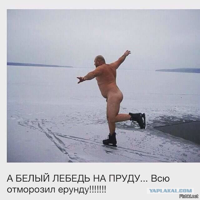 Подборка прикольных и веселых картинок
