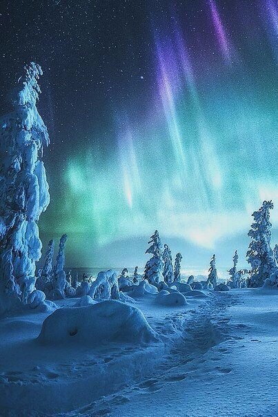 Моменты, запечатлённые на фото и просто позитив 5