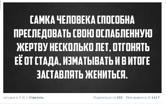 Страна одиноких женщин