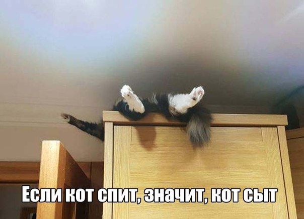 Подборка разного из сети