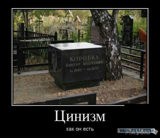 Не совсем светлый и адекватный юмор