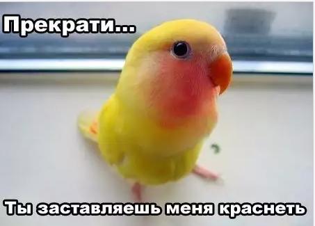 Инвалиду 47-ми лет нужна жена.