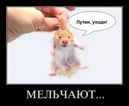 Технологии нагнетания для выращивания новых кастрюлеголовых скакунов