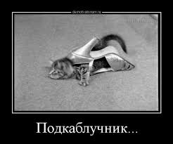 "Я не помогаю своей жене"
