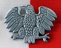 Загадочная воронка в лесу и редкая находка
