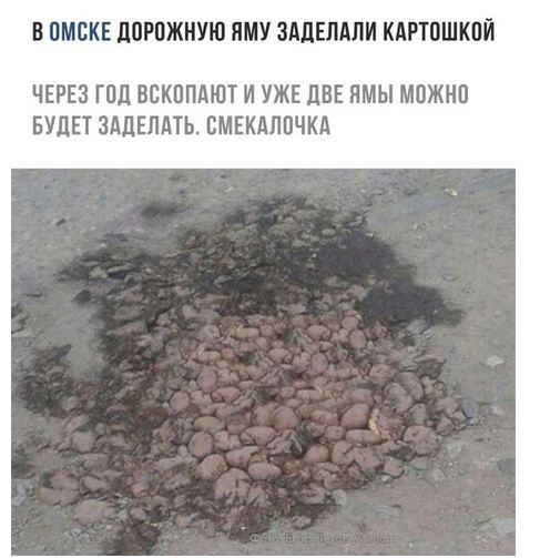 100 картинок для поднятия настроения!