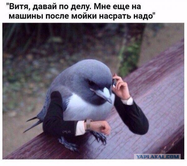 Подборка интересных и веселых картинок