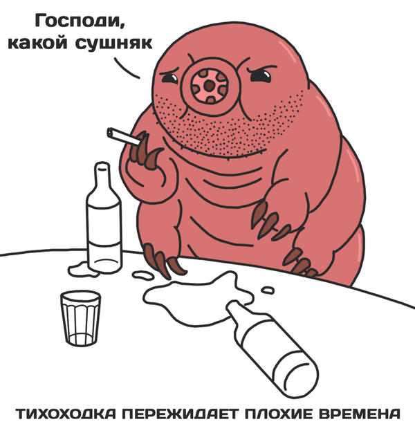 Самое живучее в мире животное