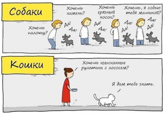 Немного весёлых карикатур