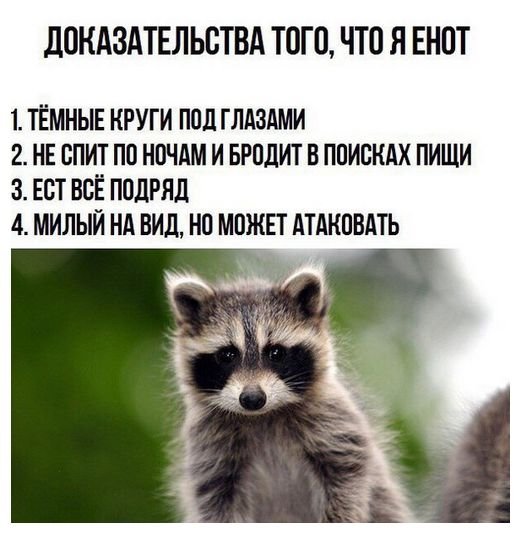Смешные комментарии из социальных сетей 23.11.2018