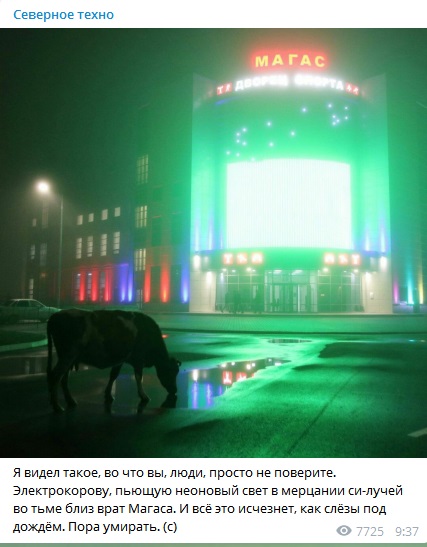 Бросай политоту, картинок завезли!