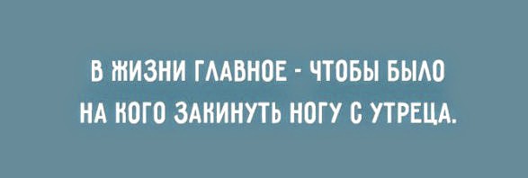 Картинки с надписями, истории и анекдоты