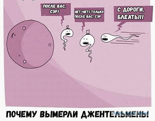 Что может пойти не так в борьбе за право на женщину?
