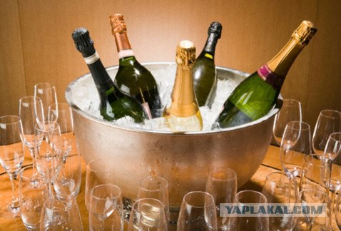 Ученые нашли неожиданные свойства водки
