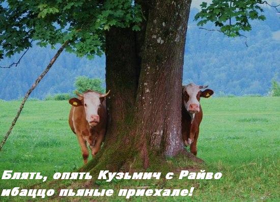 Как ты думаешь, измена скора отпустит?
